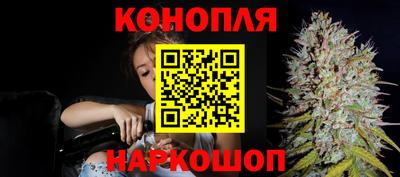 спайс Будённовск