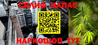 спайс Будённовск