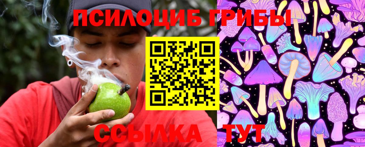 Тула  Псилоцибиновые грибы Psilocybe  Вход с VPN 