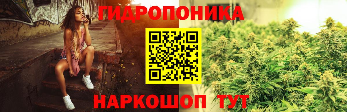 Конопля White Widow  Вход с VPN  Тула  Каннабис сатива 